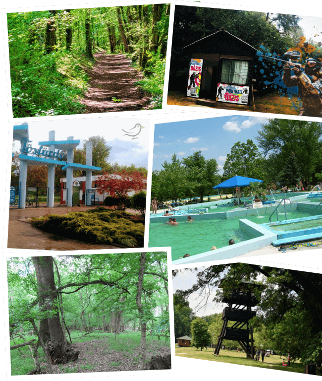 Lakitelek - Tőserdő Programlehetőségek